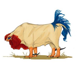 chicken bull little terry burnham becoming bullish rip roaring snorting