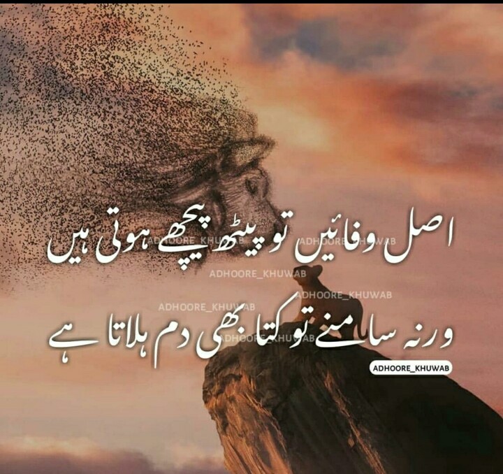 Attitude Images Attitude Shayari Attitude Dp Boys Attitude Status Attitude Dps For Girls Royal Attit Urdu Funny Quotes Funny Quotes In Urdu Pashto Quotes