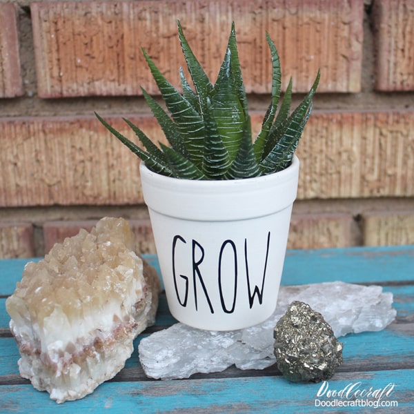 Create the cutest planters with vinyl and the Cricut machine