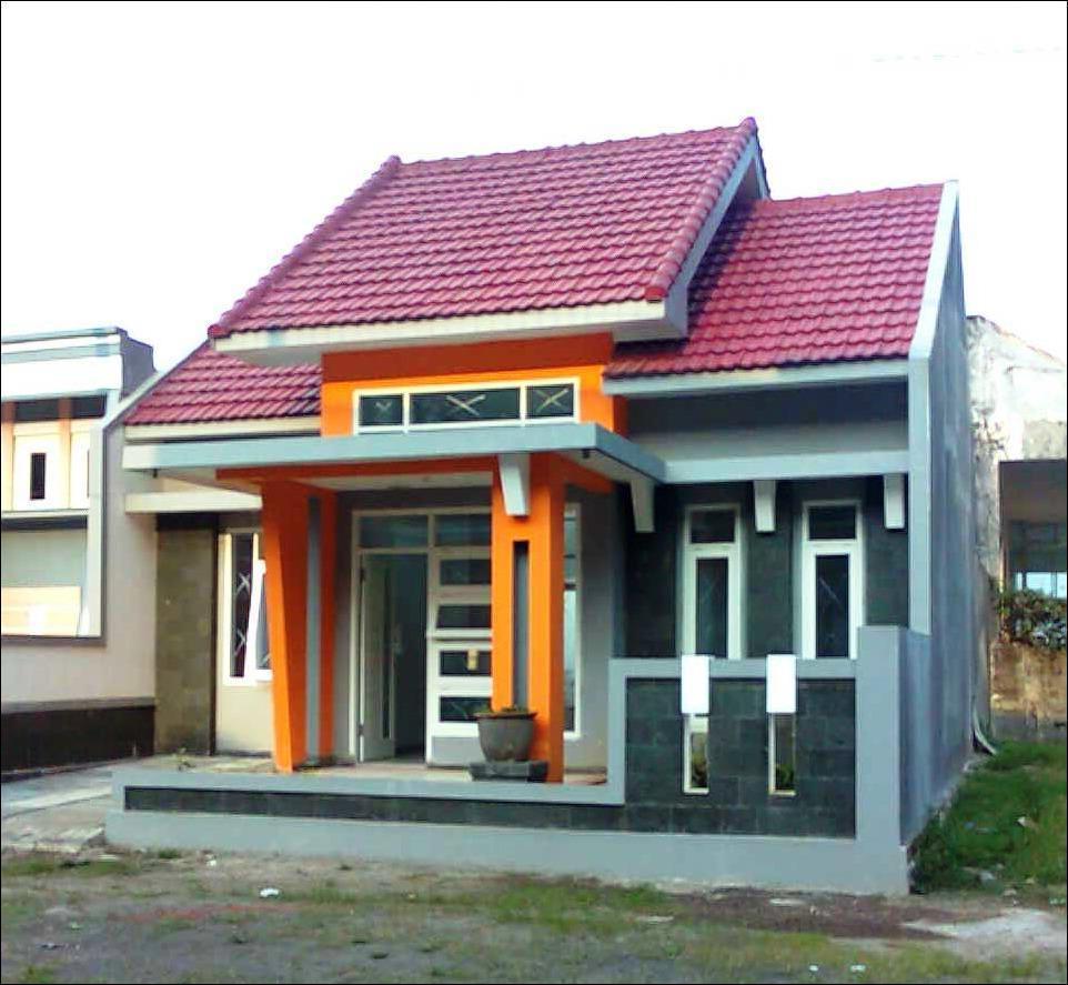 Examples of front-facing minimalist house