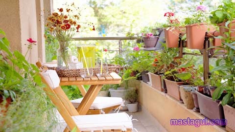 Tanaman Hias Untuk Balkon Dari Bambu Hingga Geranium - Mas Tagul