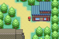 Pokemon Light Version Screenshot 12