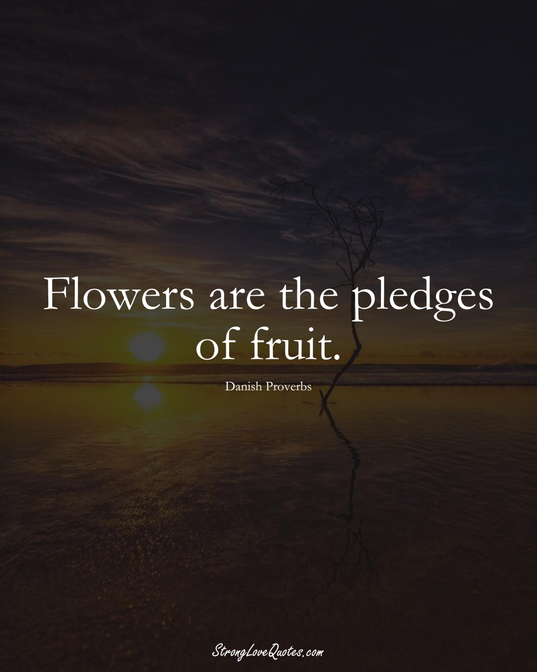 Flowers are the pledges of fruit. (Danish Sayings);  #EuropeanSayings