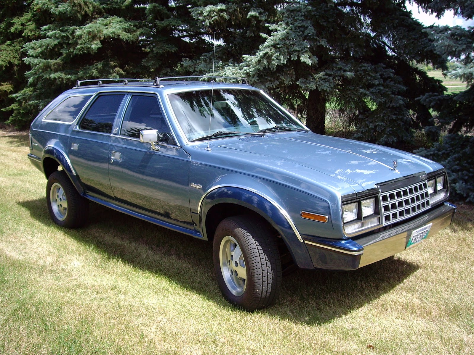 Endless Wallpaper: AMC