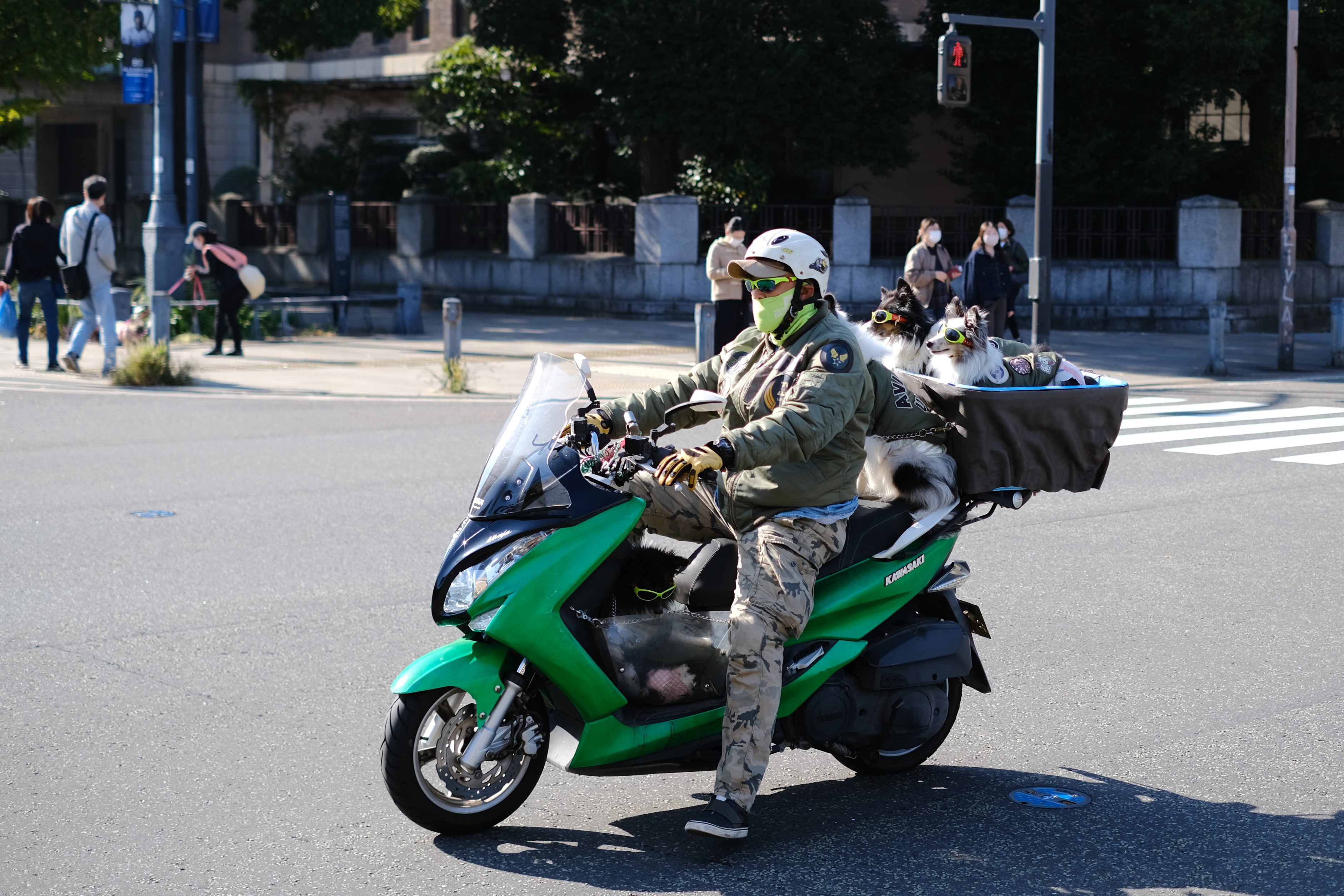 DSCF2988.JPG