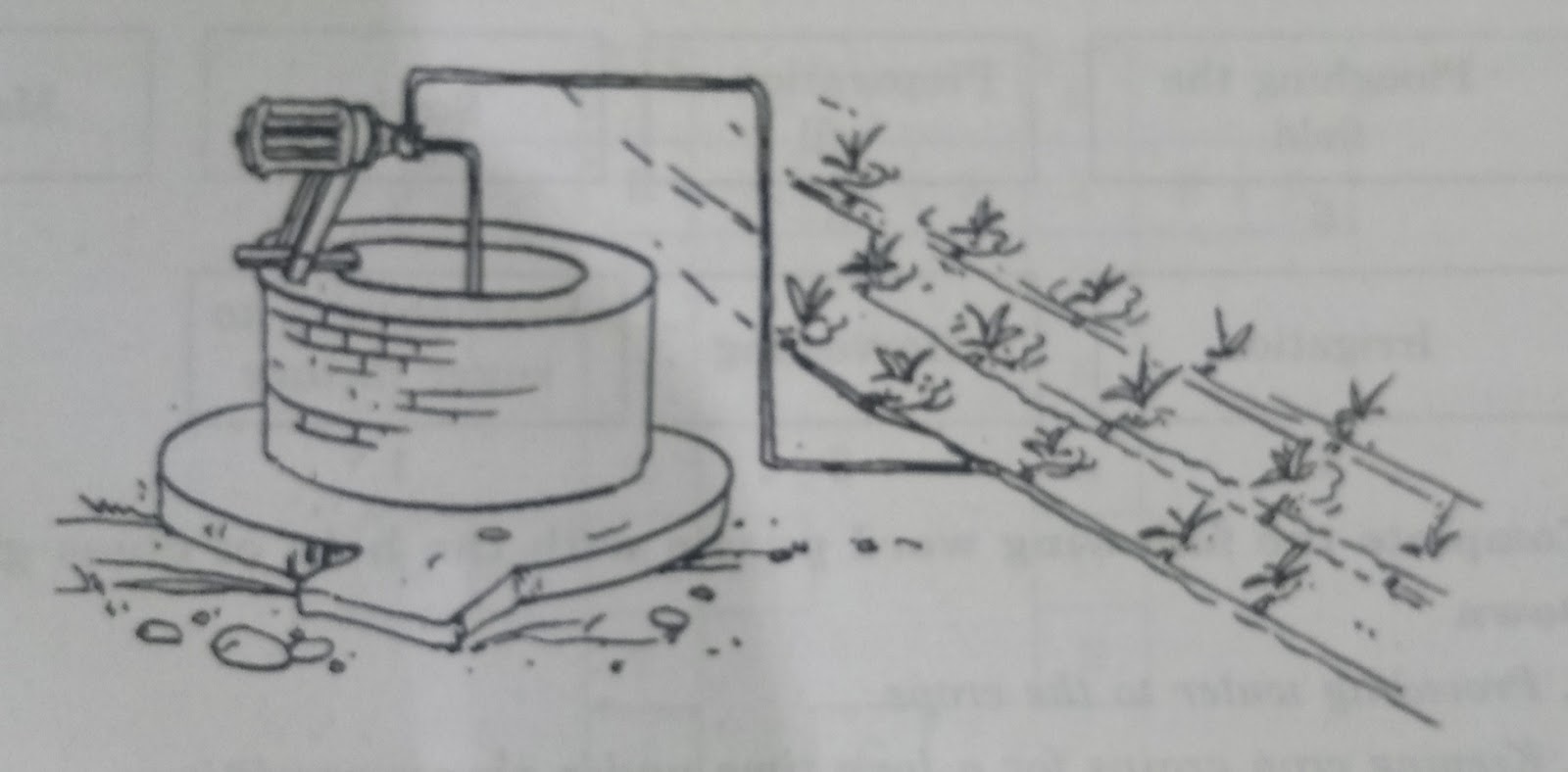 What is irrigation? Describe two methods of irrigation which conserve