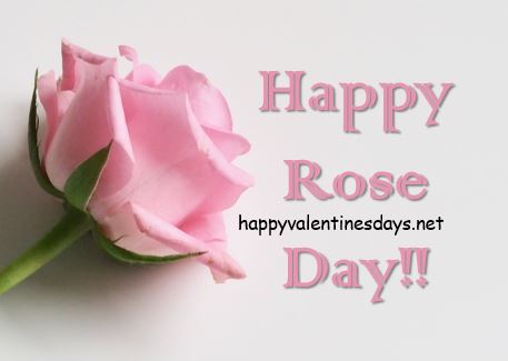 happy-rose-day-2024-photos
