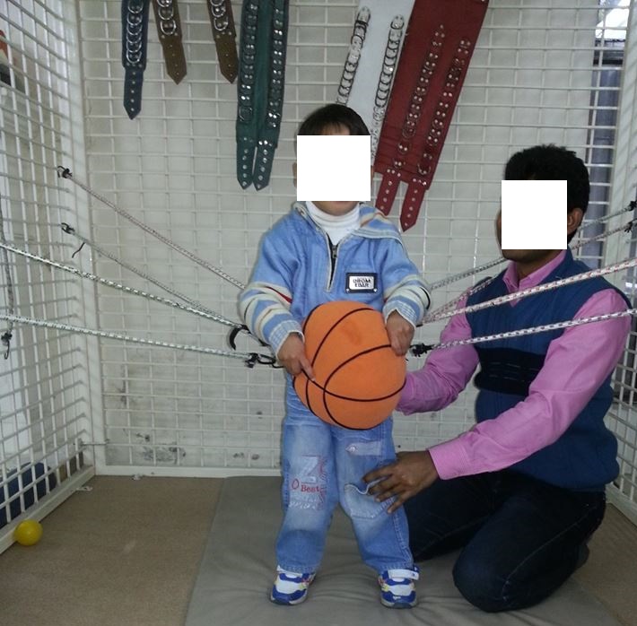 Role of Spider Cage in Motor Control UNIVERSAL EXERCISE UNIT, SPIDER CAGE