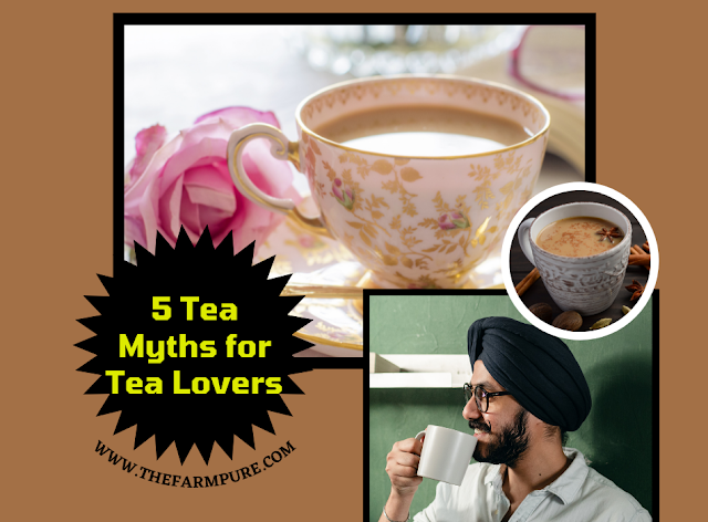 5 tea myths for tea lovers 5 tea myths for tea lovers