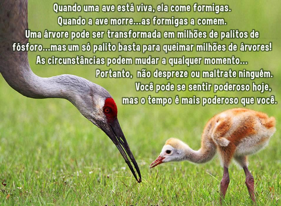 Dynasty 2ª Temporada Fotos promocionais do episódio 7