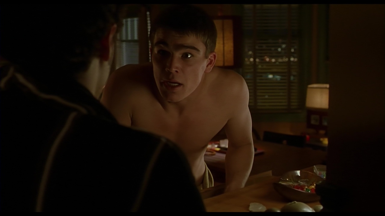 Josh Hartnett nude in 40 Days and 40 Nights.