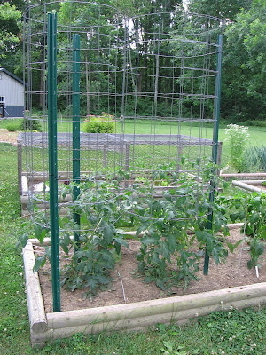 Mike's Bean Patch: June 2012