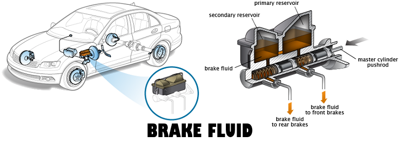 Low Brake Fluid Makes the Brake Light Comes On and Off