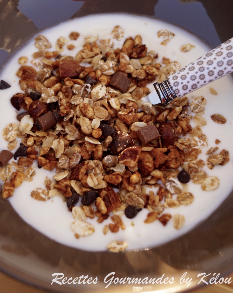 Granola au sirop d'érable, chocolat et fruits secs