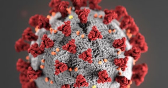 Reveldigital Blog Coronavirus Covid 19 Advice For The Public