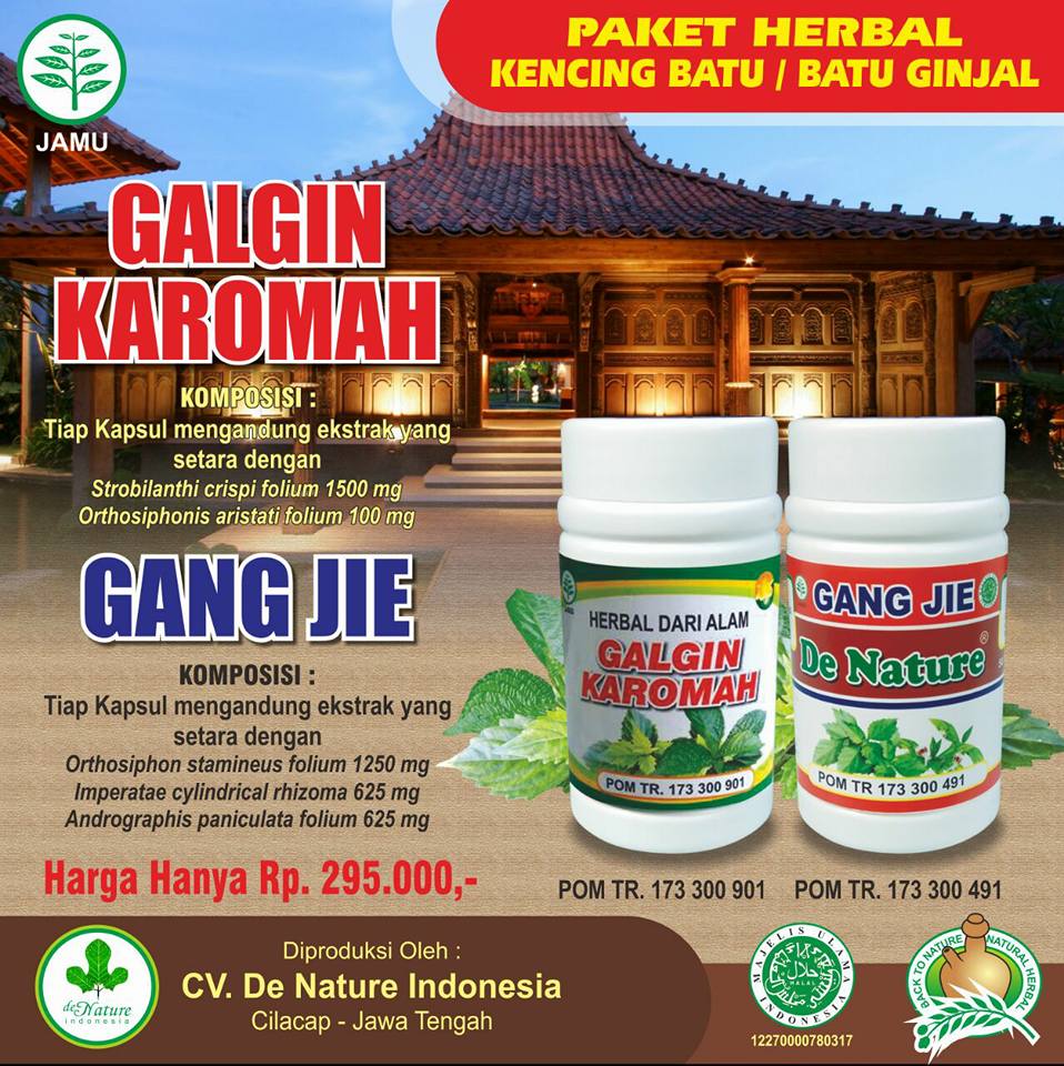 Nama Obat Batu Ginjal