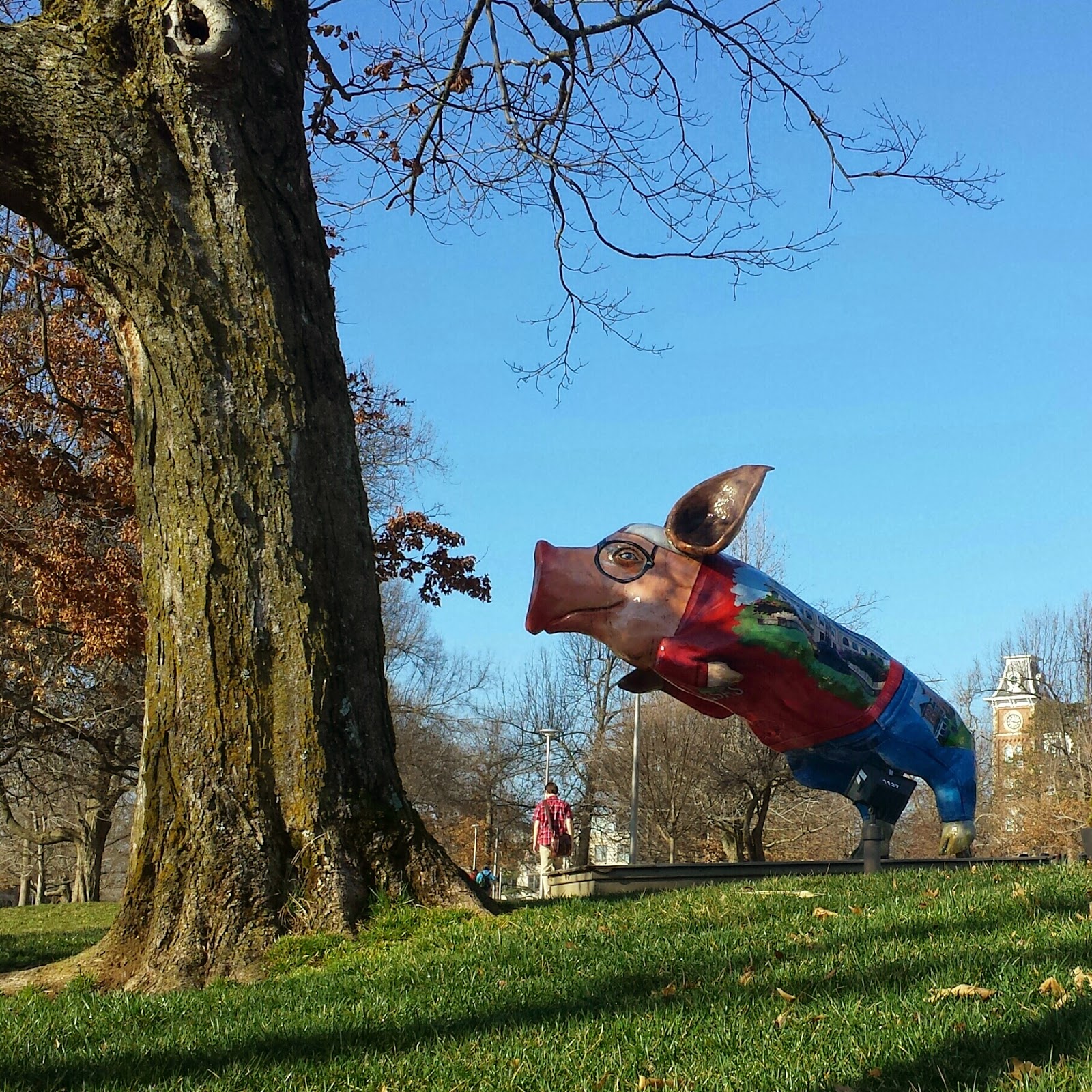 Jay Asher 50 States Against Bullying ARKANSAS