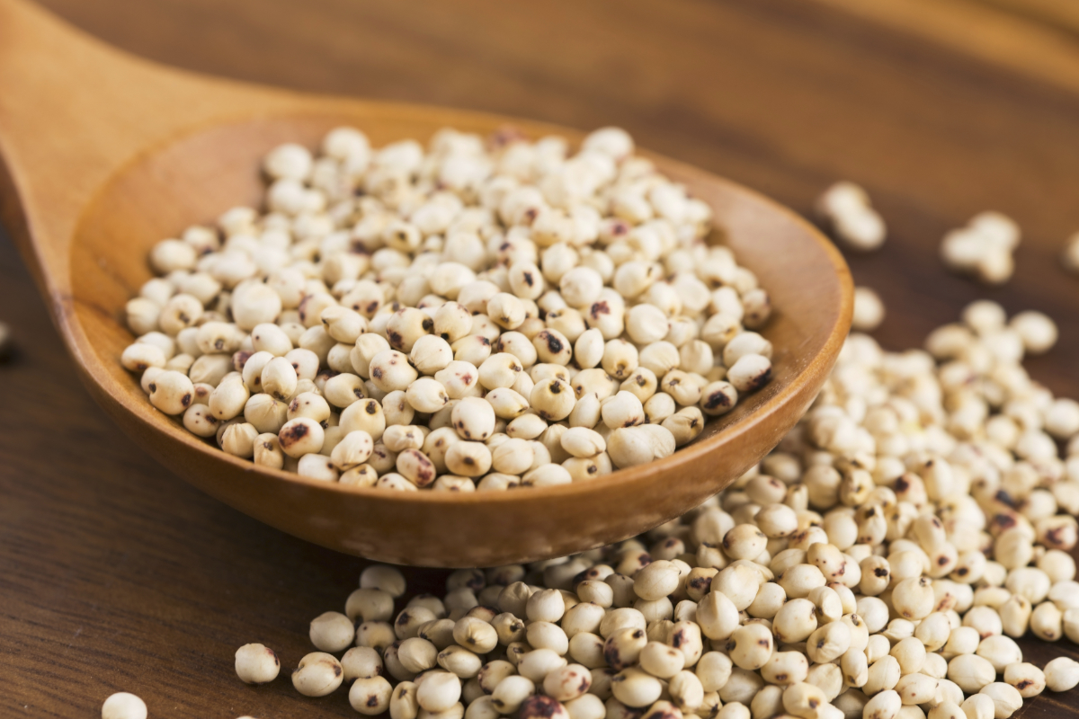 How To Cook in Instant Pot Magical Ingredients