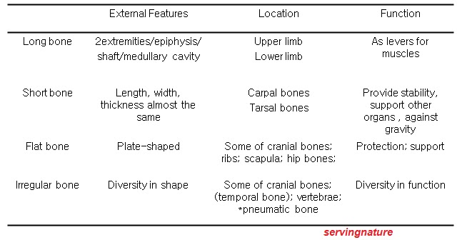 Healthy Body-Healthy Mind: What is Basic Anatomy?