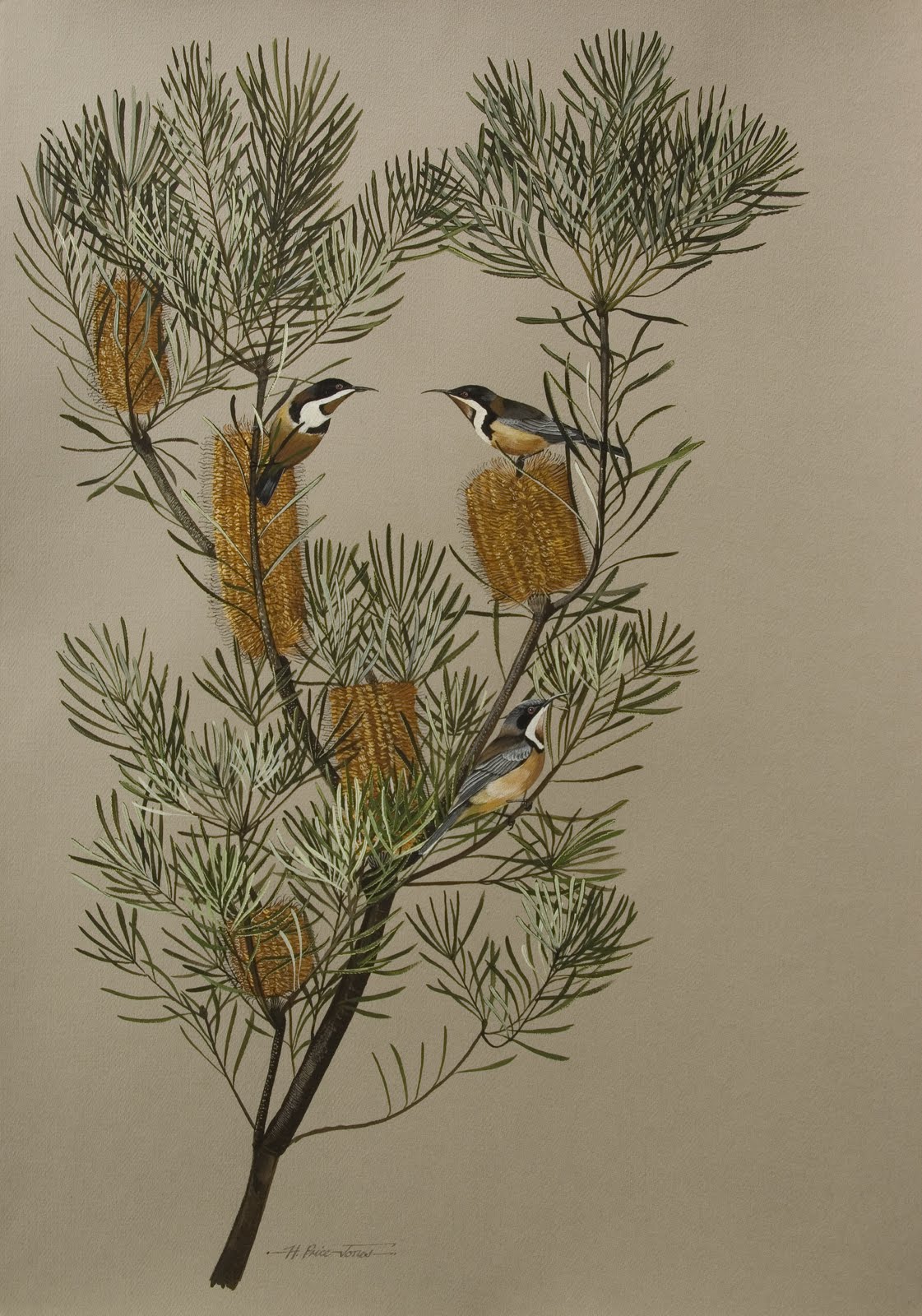 Humphrey PriceJones Works