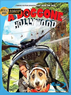 A Doggone Hollywood (2017) HD [1080p] Latino [GoogleDrive] SXGO