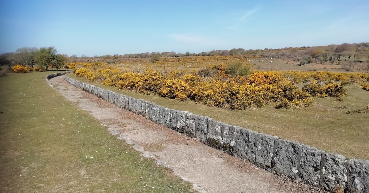 Life in Plymouth Clearbrook to the Rock, Yelverton