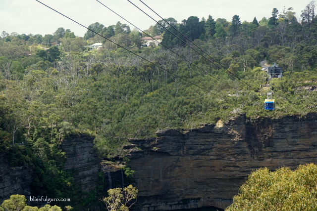 Scenic World Blue Mountains Australia Review Scenic World Blue Mountains Australia Review
