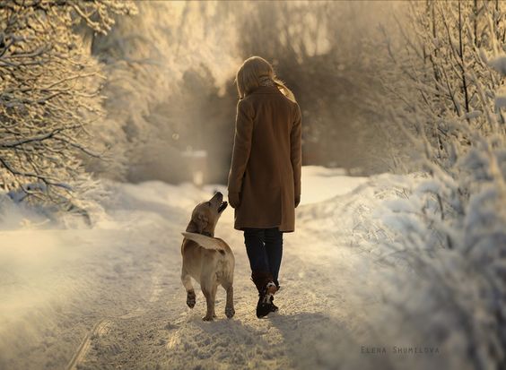 Beautiful winter scene with dog and woman on walk in snow