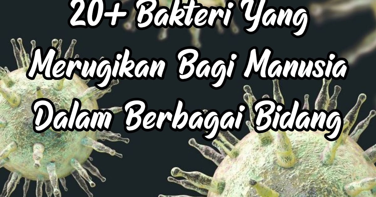 20+ Bakteri yang merugikan bagi manusia dalam berbagai bidang