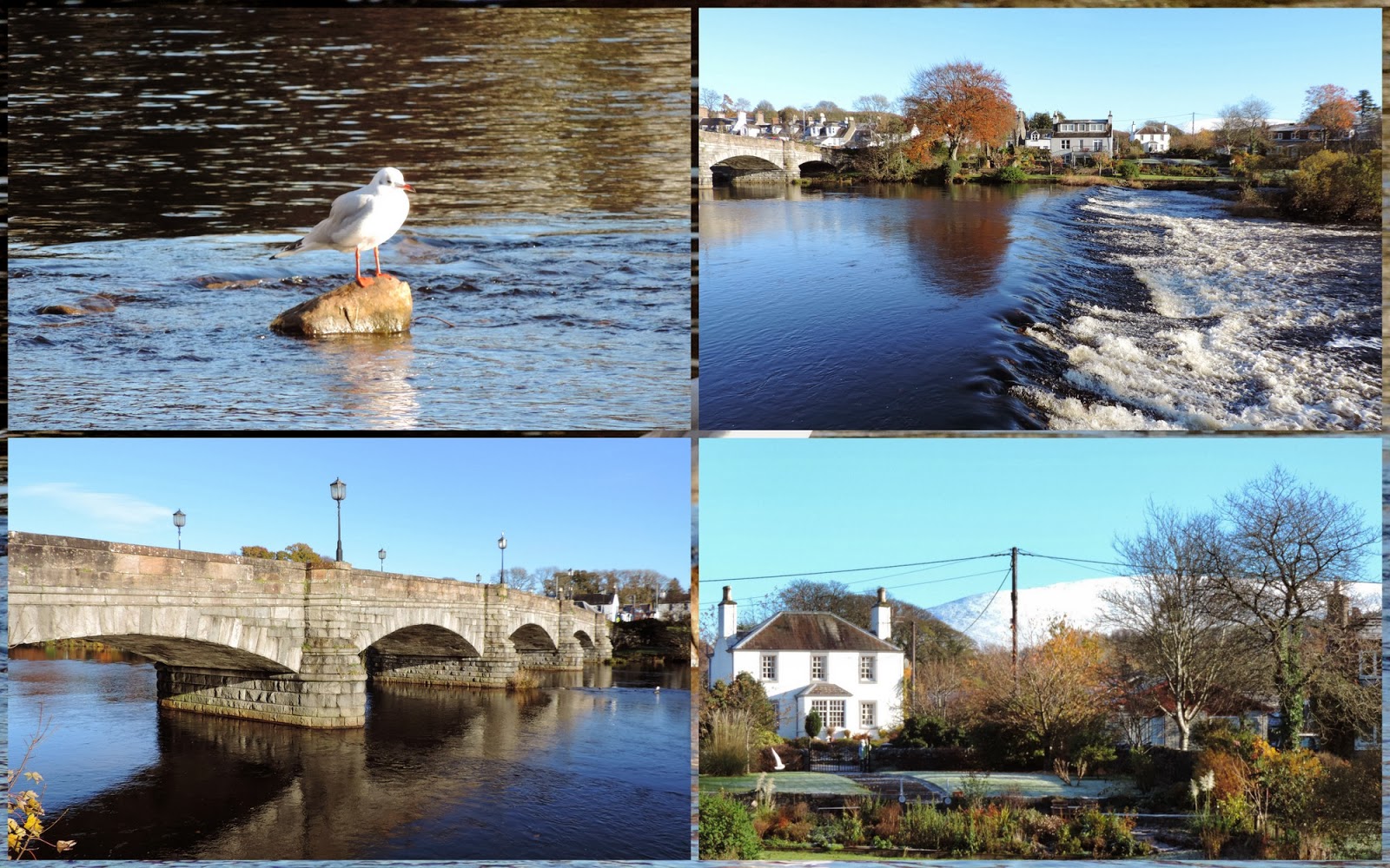 The Glebe Blog First snow over Newton Stewart November 2013