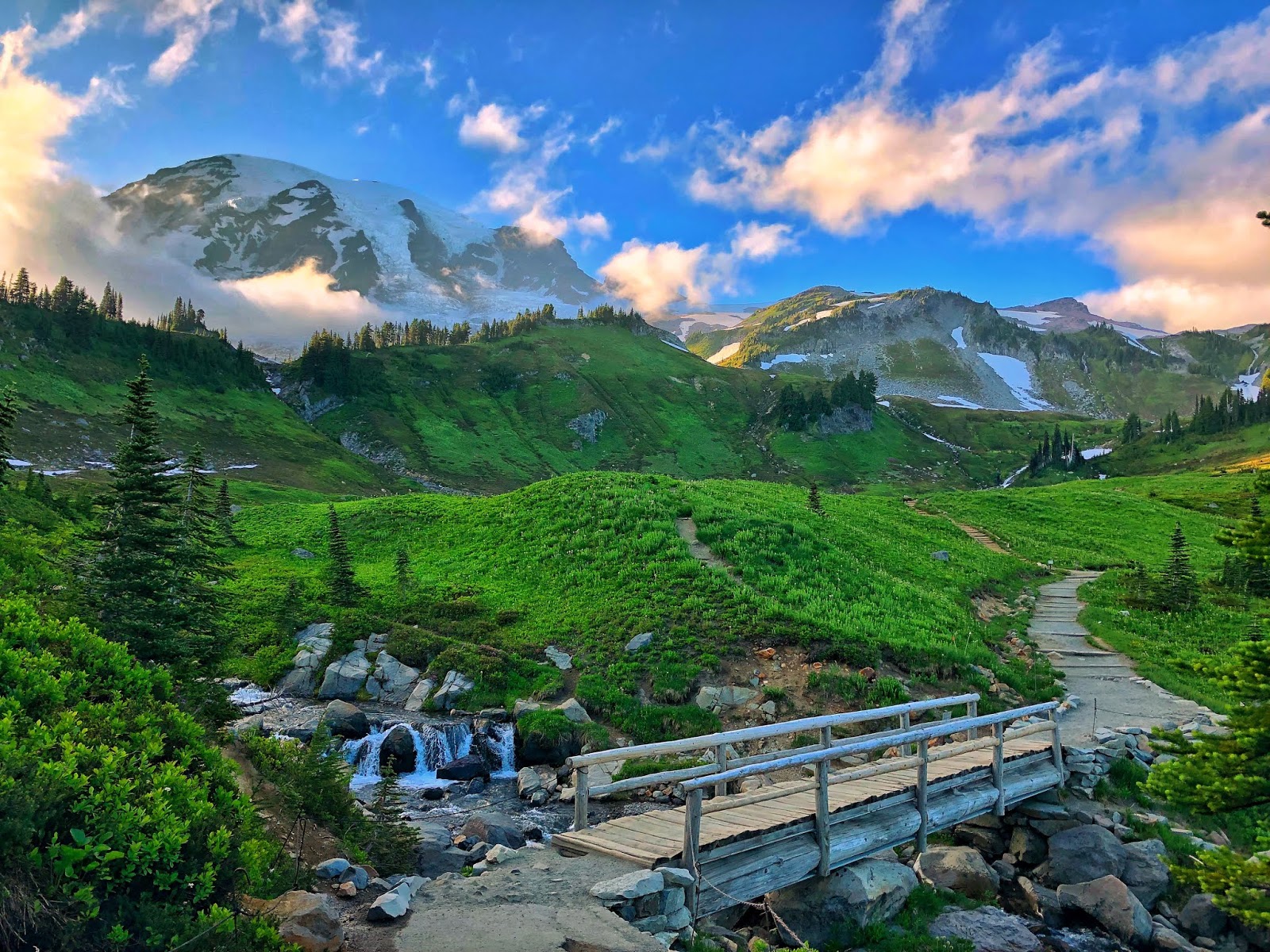 Top 10 Easy Hikes in Mount Rainier National Park - The National