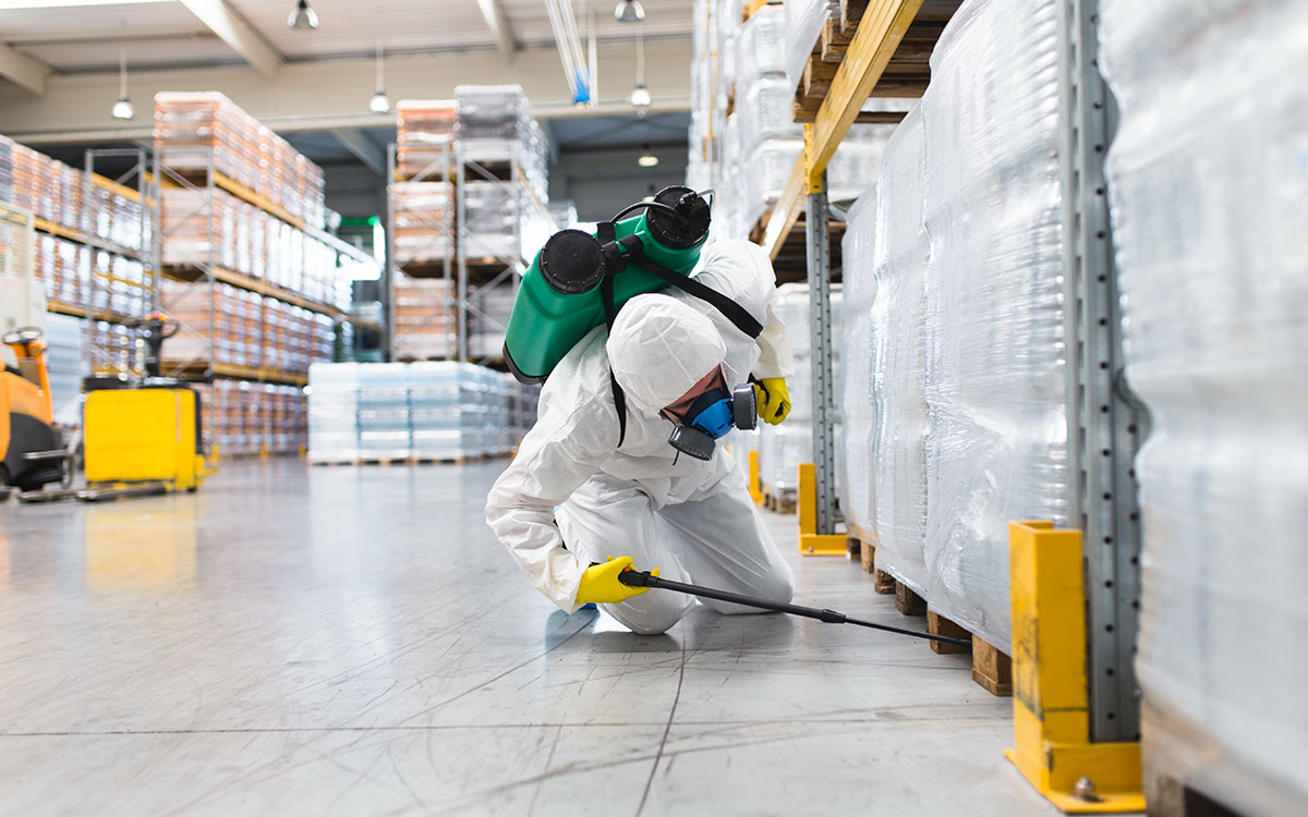 Eco Friendly Pest Control: Do Eco Friendly Pest Control Company Proffer ...