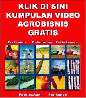 Video Agrobisnis
