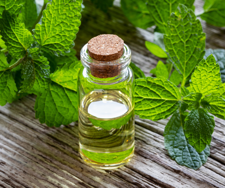 Prepare Lwil Melis pou Soulaje Po Tèt ki Swe Anpil 