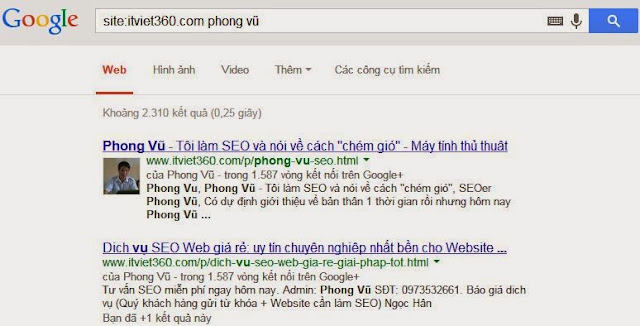 Google Phong Vũ, Phong Vũ