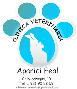 CV APARICI FEAL