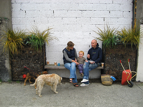 Benchmark on Sitric Road, image by Kaethe Burt-O'Dea Benchmark on Sitric Road, image by Kaethe Burt-O'Dea