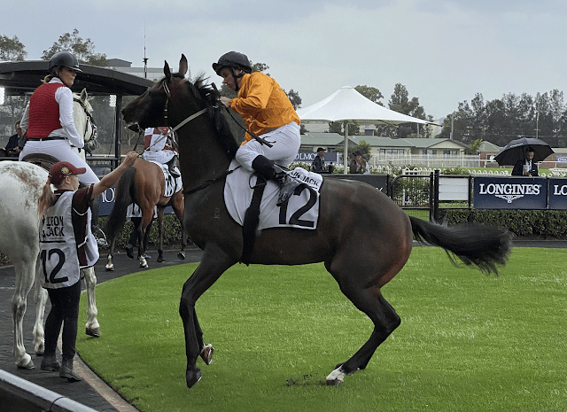 Horse Racing Winning Margins Guide in Australia