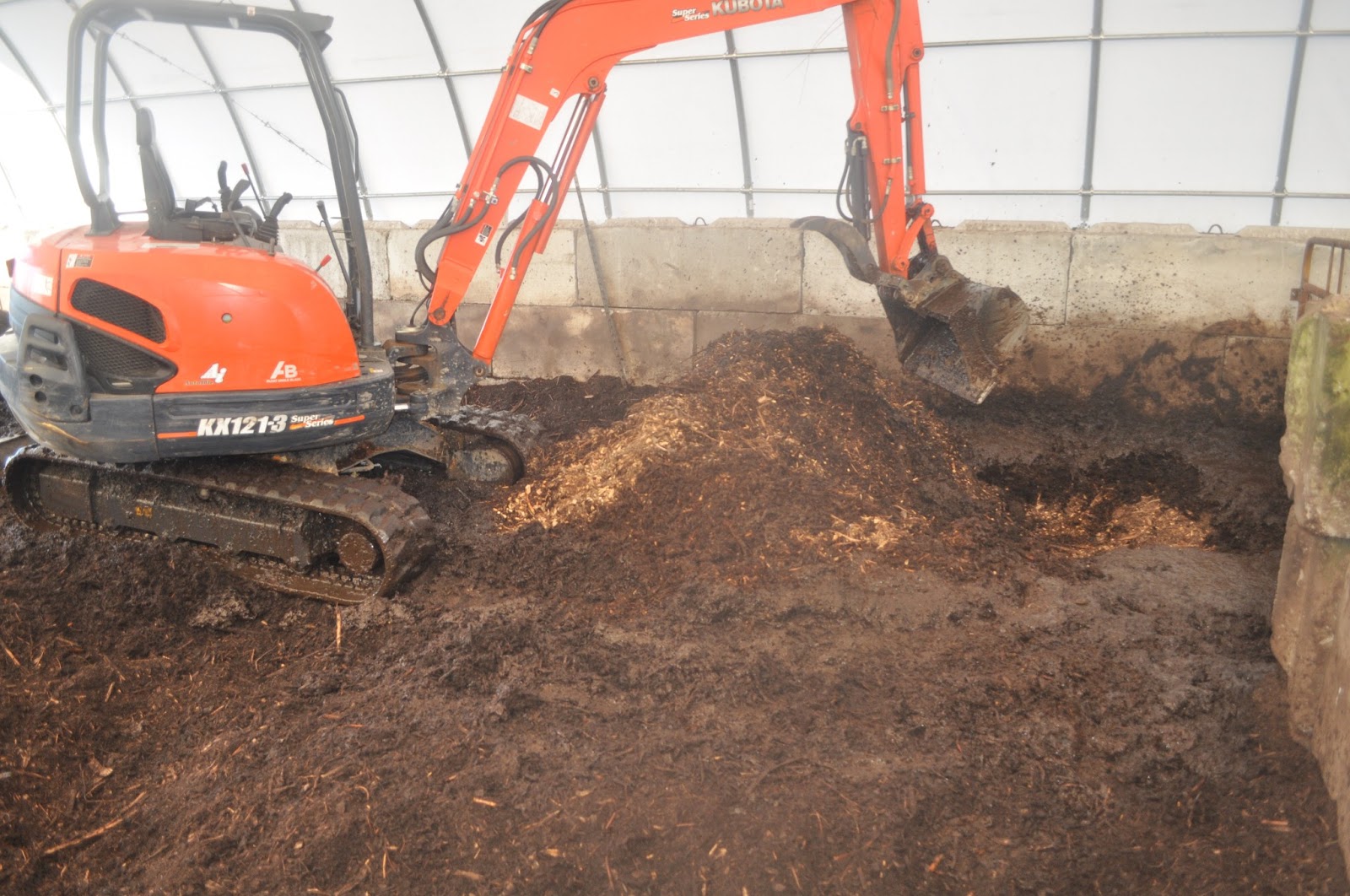 meat Deep litter and pigs