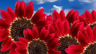 %25D8%25AE%25D9%2584%25D9%2581%25D9%258A%25D8%25A7%25D8%25AA-%25D9%2588%25D8%25B1%25D8%25AF-%25D8%25B5%25D9%2588%25D8%25B1-%25D8%25B1%25D9%2585%25D8%25B2%25D9%258A%25D8%25A9-%25D9%2588%25D8%25B1%25D8%25AF-%25D9%2585%25D9%2584%25D9%2588%25D9%2586-%25D9%2588%25D8%25B1%25D8%25AF-%25D8%25B7%25D8%25A8%25D9%258A%25D8%25B9%25D9%258A-52