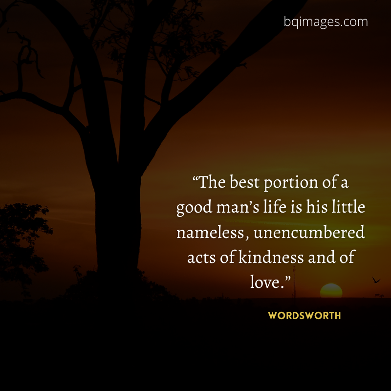 50+ Best Life Quotes In English for WhatsApp DP bqimages Beautiful