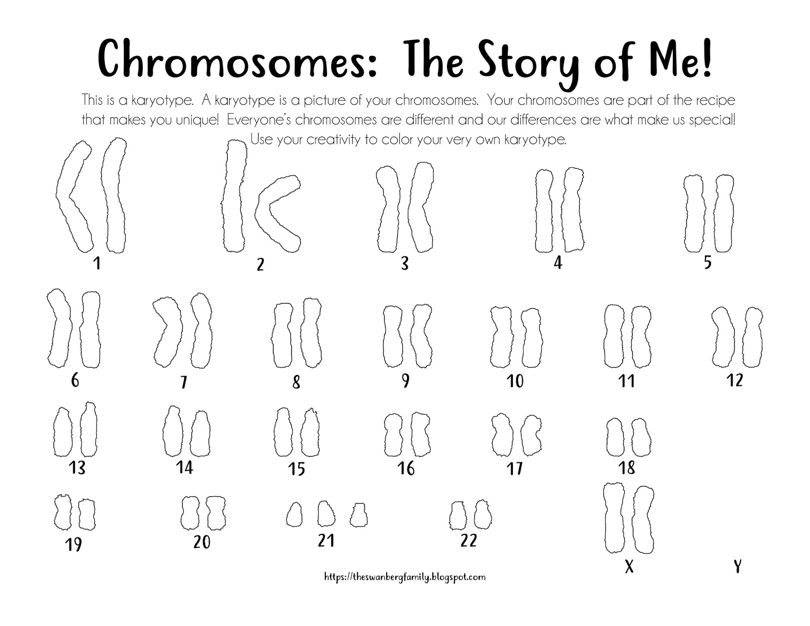 Karyotype Coloring Sheets