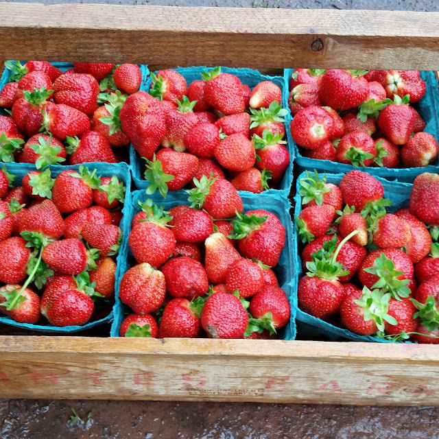 Be Vegantastic! Honey Brook Organic Farm CSA Week .5 Pennington Boxed