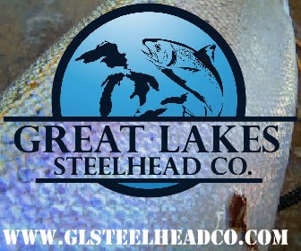 Great Lakes Steelhead Co.
