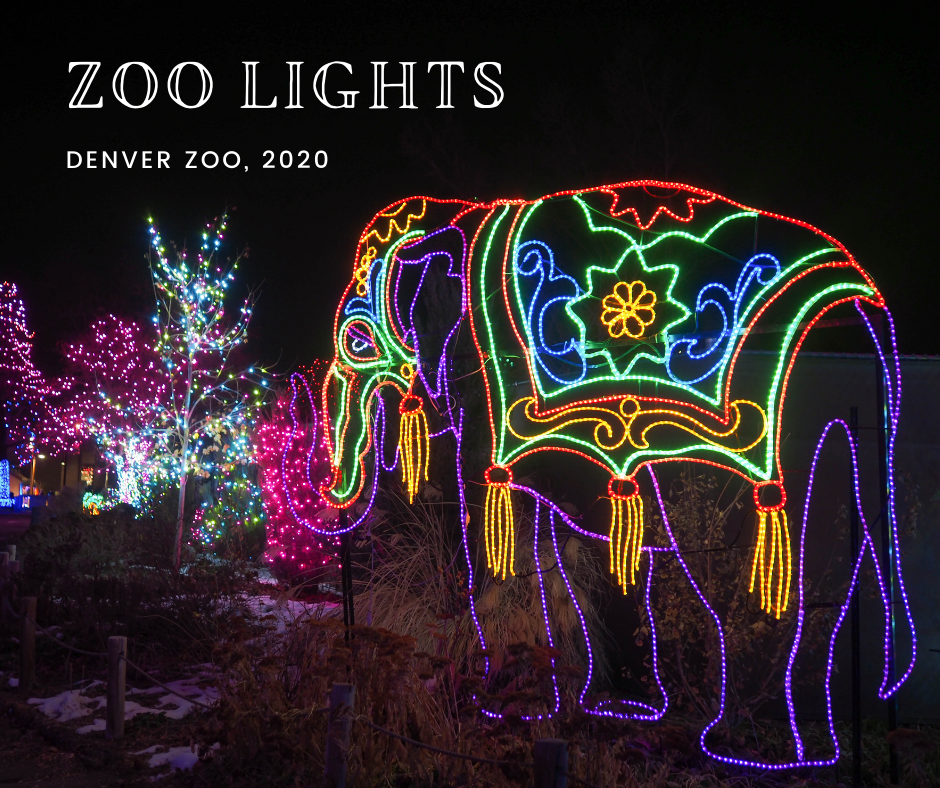 Little Hiccups Denver Zoo Lights