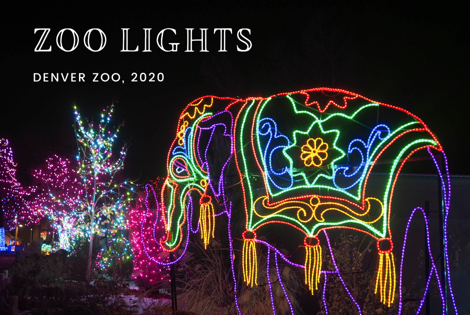 slim Pine administration Little Hiccups: Denver Zoo Lights