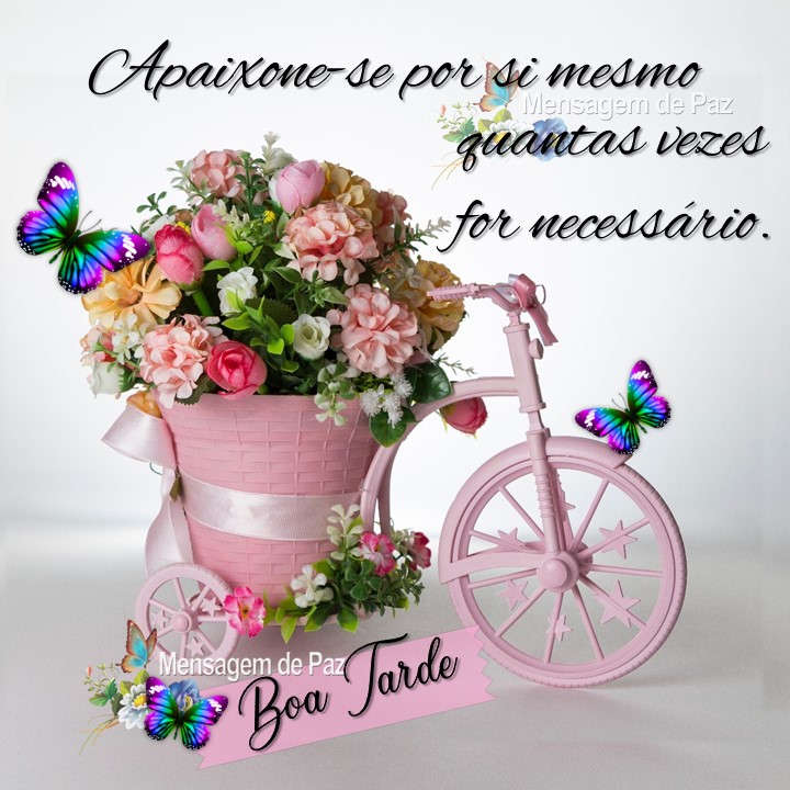 Imagem com a frase: Apaixone-se por si mesmo