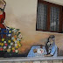 Το χωριό της Χαλκιδικής που υποδέχεται τη... μουντή καραντίνα με ζωγραφισμένους τοίχους