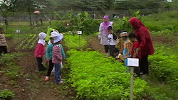 Agriculture School Program