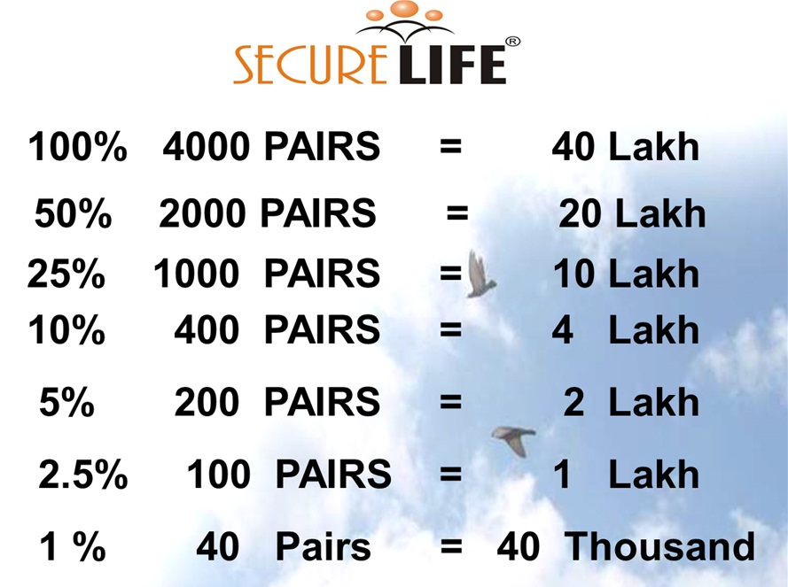 Legal Documents Proof